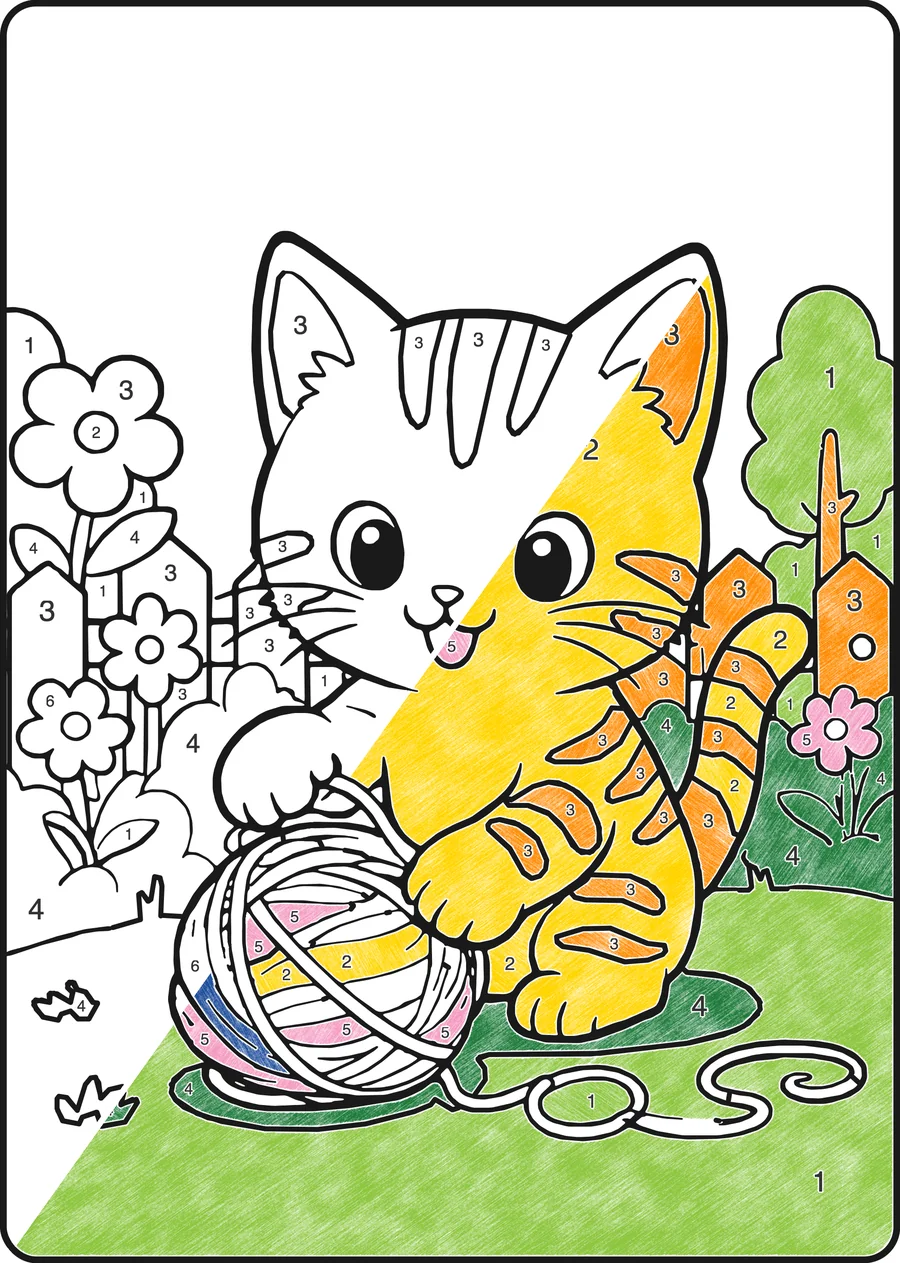 Kleurplaat op nummer: Kat, half ingekleurd