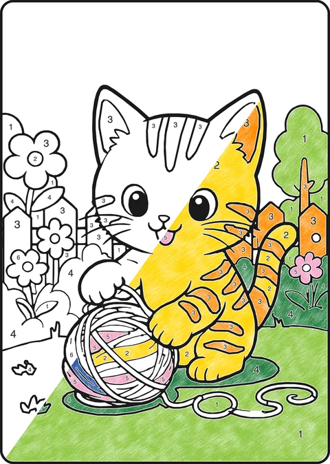 Kleurplaat op nummer: Kat, half ingekleurd
