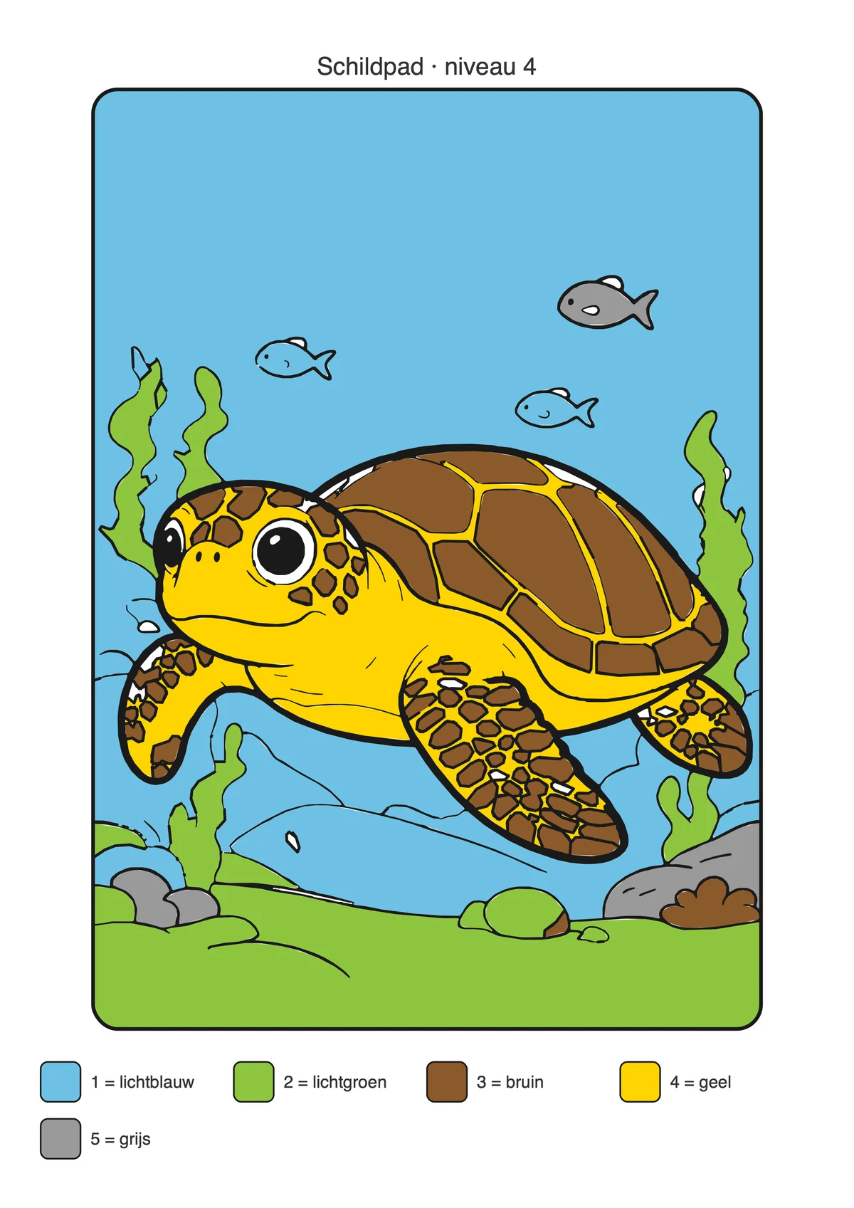 Antwoordblad: Schildpad ingekleurd