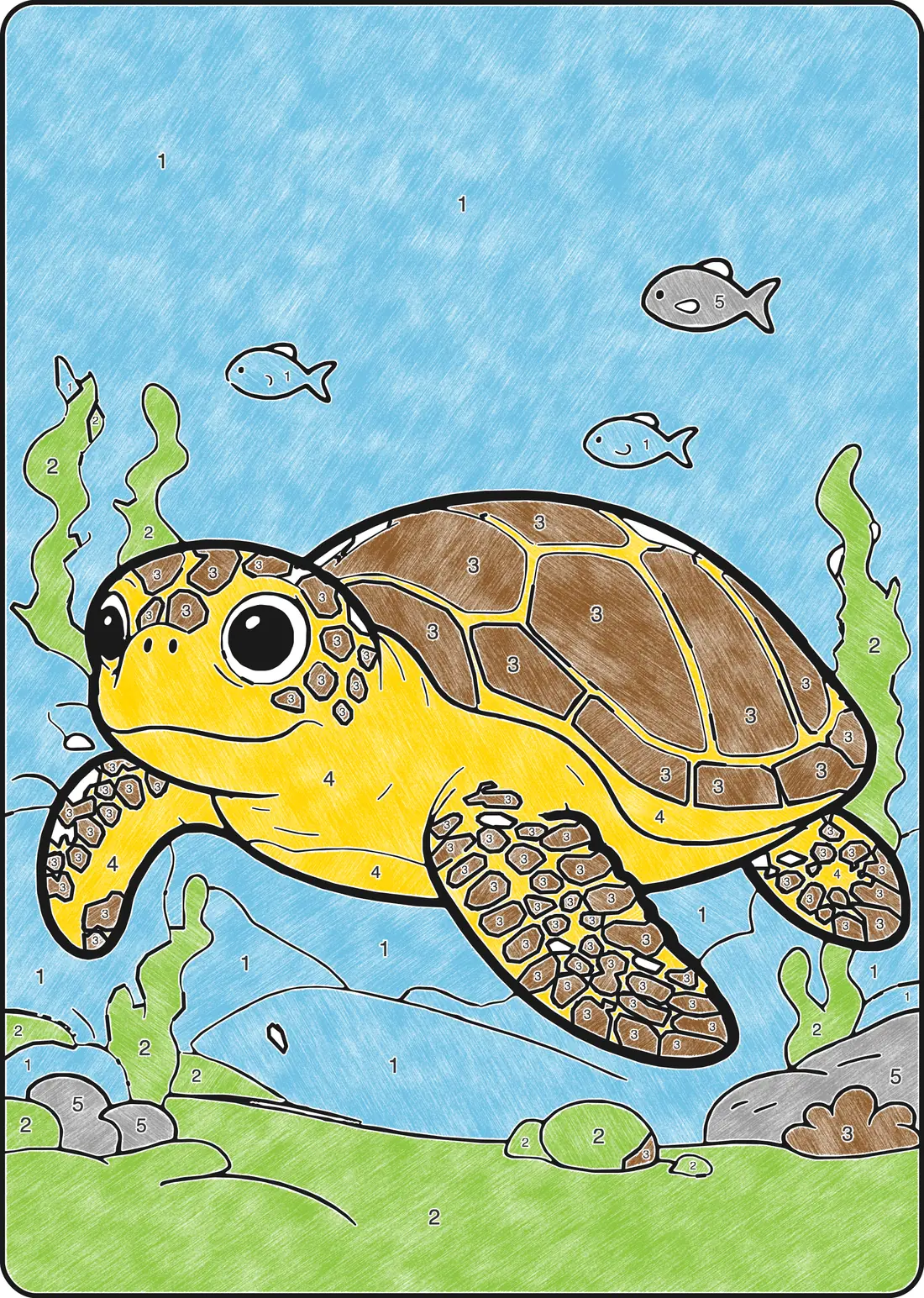 Schildpad, ingekleurd met kleurpotlood