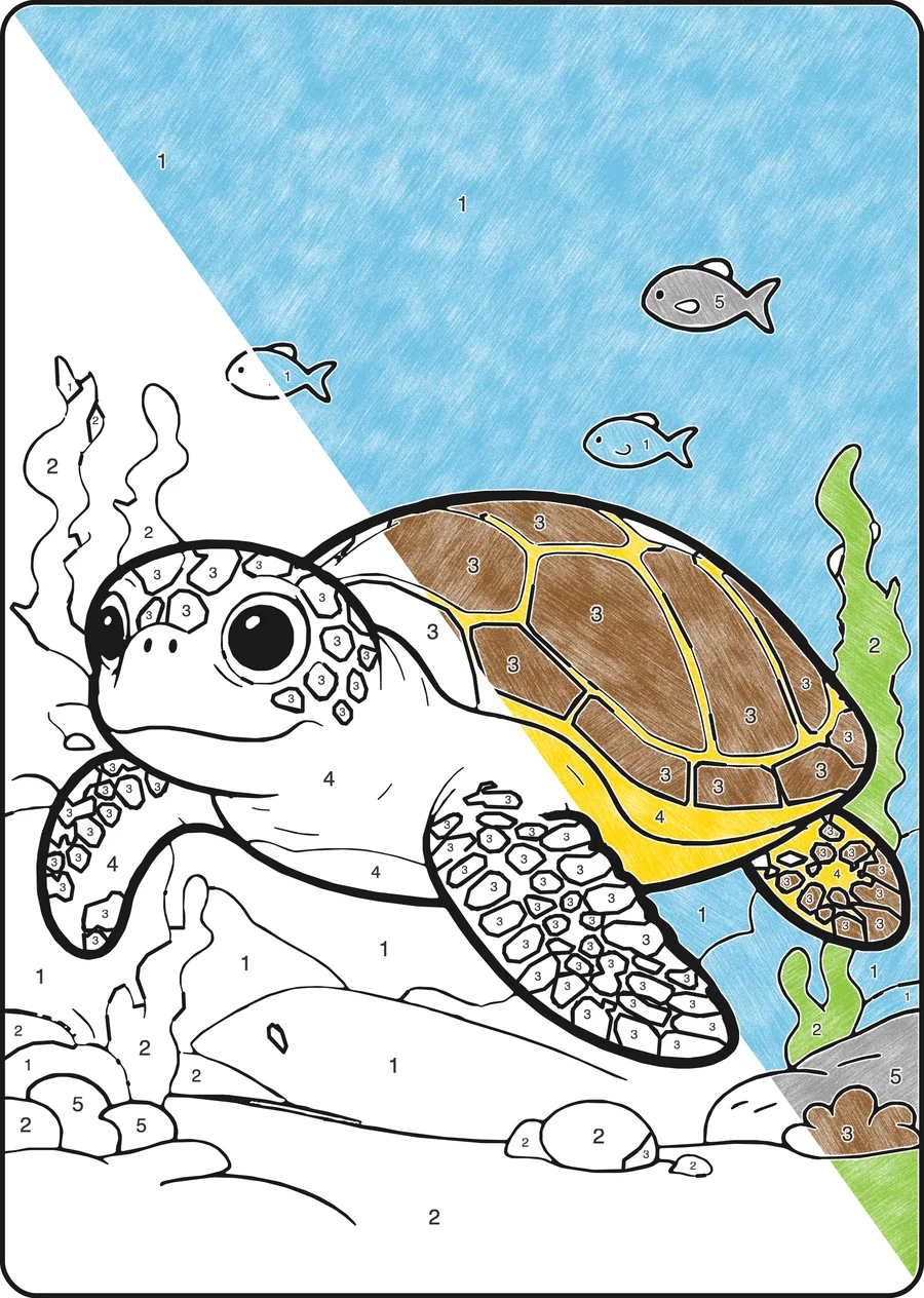 Kleurplaat op nummer: Schildpad, half ingekleurd