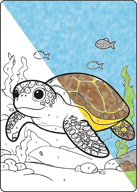 Kleurplaat op nummer: Schildpad, half ingekleurd